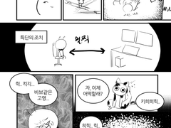 고양이 혼내는 법 삼