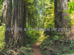 [이부시마] 오쿠타마에서의 1박 2일(上)