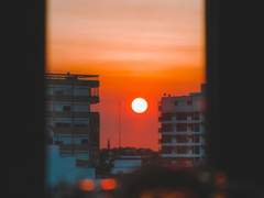 산심목서 / 클라이막스