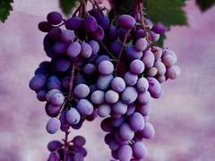 From Acheron To Styx