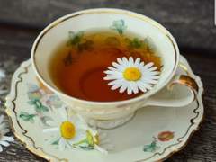 제 1화)) 나른한 햇살