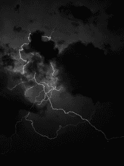 애정과 애증 그 어딘가