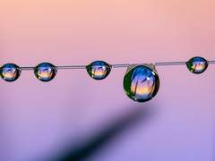 [마블_스티브 로저스 드림] All I wish I could be like you