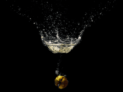 두 번째 여름, 태동