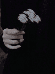 모두가 좋아하겠지만 모두가 싫어할 이야기