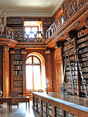 도서관엔 로맨스가 있나요