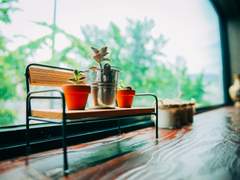 Sunlit, Summer, Love!