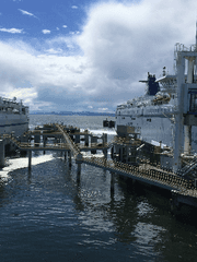 고요시로 돌아왔다.