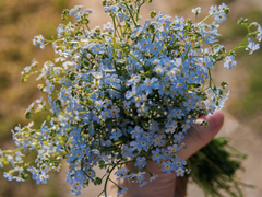 Done For Me (+ 비하인드)