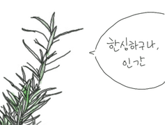 로즈마리 일기 2