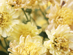 눈을 떴을 때 함께이고 싶어.