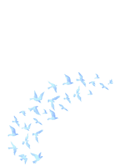 날입니다 시리즈