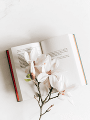 커미션 타입 안내