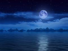 [위리산크] midnight