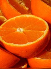 블자히나 요원물 백업