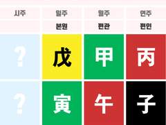 세븐틴 준 사주