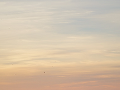 너의 시선이 나에게 닿기를 [下]