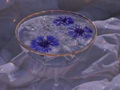 Vous voulez boire du café?