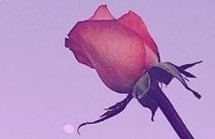 그 사람이 누구일 것 같아?