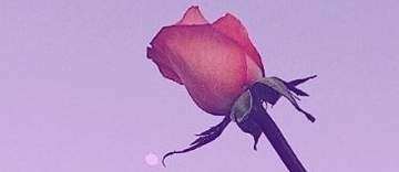 그 사람이 누구일 것 같아?