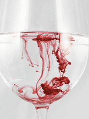 [뱀파허브 단편]