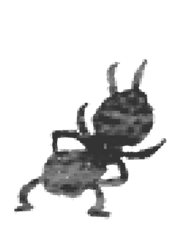 에센 던전 공략