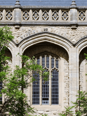 에스터 아카데미