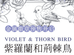 紫罗兰和荆棘鸟: 바이올렛과 가시나무 새 3장