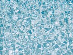 루미네른 | 아기 토끼