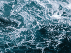 복수는 나의 것