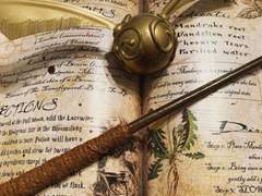 Wynter J. Florence / 프로필