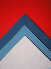 나는 표현의 자유를 사랑한다