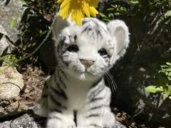 귀호뎐 소장본 파본 교환 및 재고판매 안내(마감)