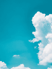 미애 청게 시리즈