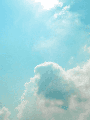 대환장 올레투스 고등학교 생존기