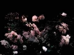 想一辈子和你在一起