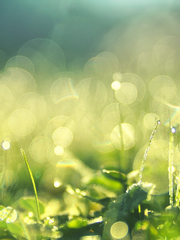 신비의 은닉을 할 생각은 있나요?