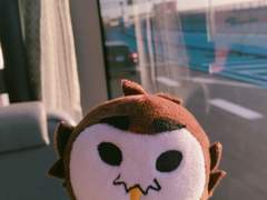 [여행기] 아카아시 올뺌이 인형 사러 오사카 당일치기 여행