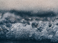 아스퍼거의 시선에서