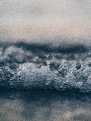 아스퍼거의 시선에서