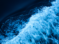 쿼터의 세가지 사랑