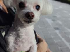 제일 상처받은 시절들