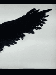 [손더게스트x보이스]