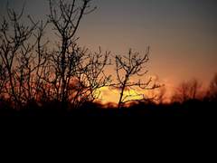 [희신강징] 5세와 15세