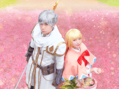 메이플스토리 - 루미너스/라니아