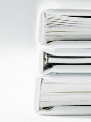 세포신곡-글연성