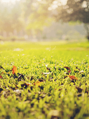 TRPG 플레이로그