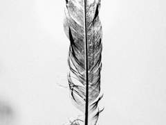 배고파서 여는 커미션