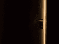 2245년의 어느 날