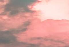 립미 글 커미션